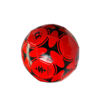 BALON de FUTBOL