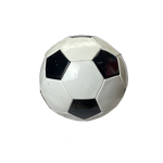BALON de FUTBOL