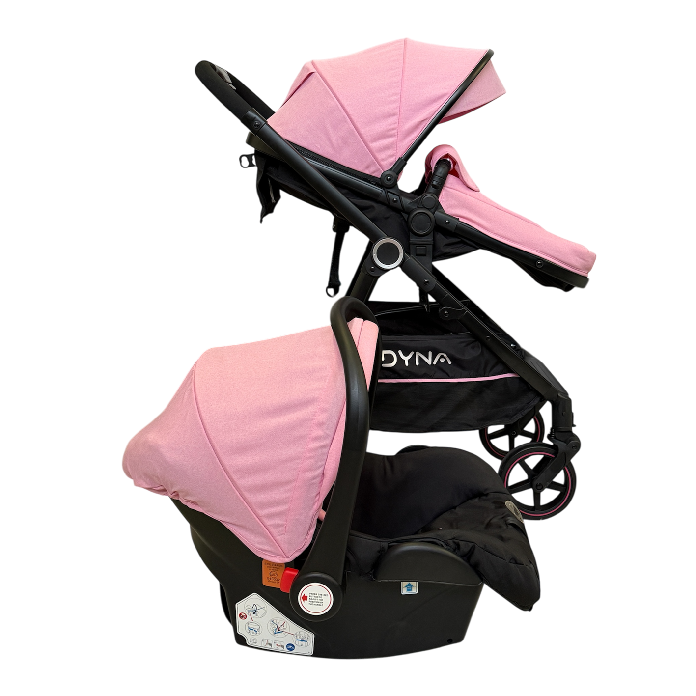 DYNA - Rosa